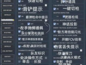 《使命召唤9》游戏画面无字解决方案：详细指南与实用技巧