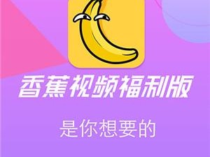 无限看的黄 app 香蕉视频，拥有海量视频资源，满足你的各种需求