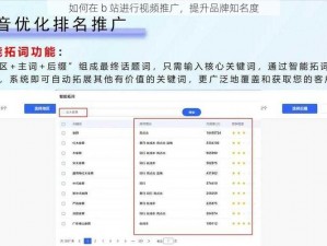 在 b 站视频推广中，我们提供高效、精准的推广服务，帮助您提升品牌知名度和产品销量
