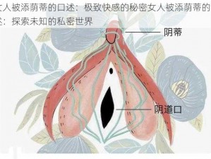 女人被添荫蒂的口述：极致快感的秘密女人被添荫蒂的口述：探索未知的私密世界