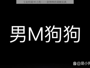 S 如何调 M 小狗——一款独特的调教玩具