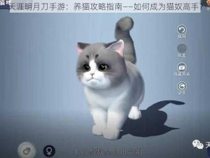 天涯明月刀手游：养猫攻略指南——如何成为猫奴高手？