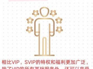 7VIP3：享受更多专属特权的尊贵身份