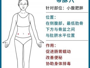 极品穴——女性生殖系统保养、美容、瘦身的秘密武器