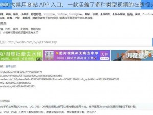 夜里 100 大禁用 B 站 APP 入口，一款涵盖了多种类型视频的在线视频平台