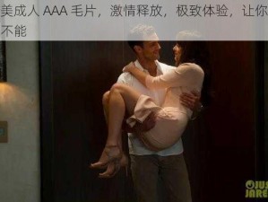 欧美成人 AAA 毛片，激情释放，极致体验，让你欲罢不能