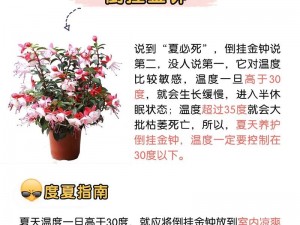 珊瑚岛夏季慎种指南：揭秘不适合种植的作物