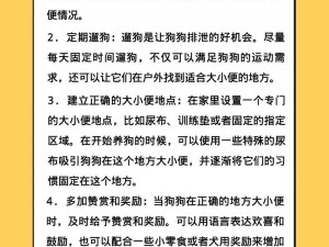 狗狗为什么总是随地大小便？怎样才能让狗儿学会定点排泄？