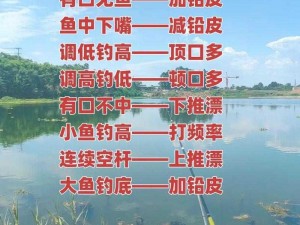 咸鱼之王钓获目标秘籍：全方位钓鱼攻略，解锁钓鱼达人成就指南