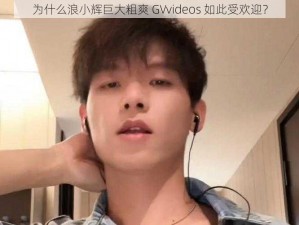 为什么浪小辉巨大粗爽 GVvideos 如此受欢迎？