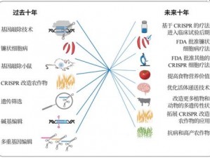 人类 DNA 能与动物结合吗？——探究基因编辑技术的应用与挑战