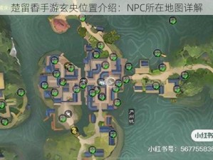 楚留香手游玄央位置介绍：NPC所在地图详解