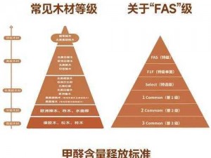 地球末日二级木材获取攻略：末日二级木头区速刷指南，高效获取木材技巧全解析