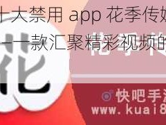 夜里十大禁用 app 花季传媒 one——一款汇聚精彩视频的播放器