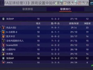 《FIFA足球经理13》游戏设置中如何调整字体大小的方法详解