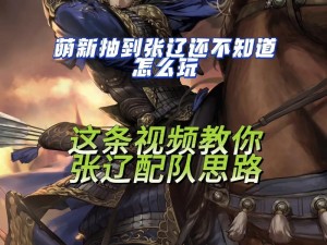 关于率土之滨张辽（魏）的全面解析：属性与技能详解