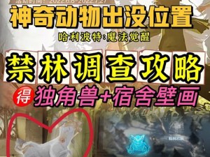 哈利波特魔法觉醒：禁林兽群穴地调查攻略，揭秘通关之道