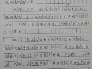 妹妹中考前让我 C 了一次作文，一篇令人惊叹的中考作文