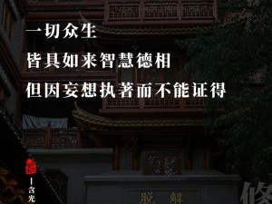 只因这份执着，只为给你更好的