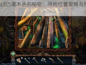 密室逃脱5灌木丛的秘密：寻找位置攻略与探索指南