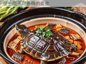 这款民工的大头龟肉质鲜嫩，营养丰富，是一道不可多得的美食