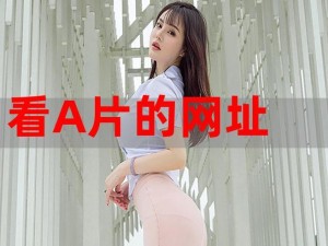 丰满少妇 xBxB 毛片日本为什么如此受欢迎？如何观看？