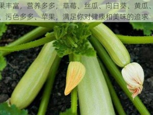 水果丰富，营养多多，草莓、丝瓜、向日葵、黄瓜、榴莲、污色多多、苹果，满足你对健康和美味的追求