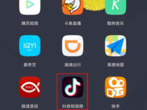 富二代 f2 抖音 app 茄子，带你体验全新的短视频世界