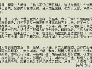 《九阳神功：清怒之技能解析与深度玩法攻略》