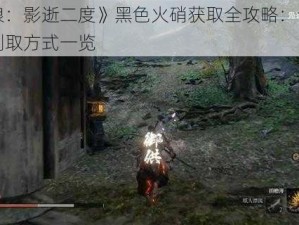 《只狼：影逝二度》黑色火硝获取全攻略：详细地点与刷取方式一览