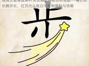 微信王者猜谜第41关攻略：揭秘动物谜题——嘴长颈长脚亦长，红顶光头批白毛动物揭秘与攻略