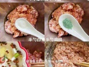 在家就能学会的授课方式肉馅小水饺制作方法