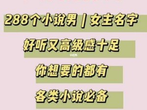 成品网站 W灬 源码 1688 小说，一个提供各类小说资源的在线平台