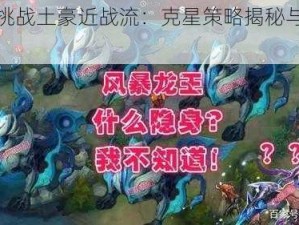 英雄挑战土豪近战流：克星策略揭秘与实战解析