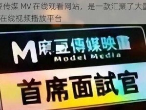 麻花豆传媒 MV 在线观看网站，是一款汇聚了大量优质 MV 的在线视频播放平台