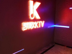 KTV 少少爷互囗交 2022KTV 专用话筒，高品质音效，让你享受极致音乐体验