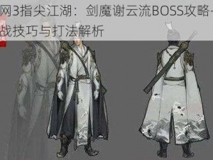 剑网3指尖江湖：剑魔谢云流BOSS攻略——实战技巧与打法解析