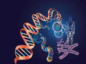 动物 DNA 与人类 DNA 生小孩可能吗？科学家们正在探索基因编辑技术的可能性