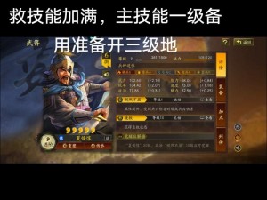 三国志战略版：夏侯惇核心阵容搭配策略与实战解析