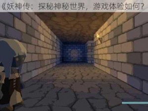 《妖神传：探秘神秘世界，游戏体验如何？》