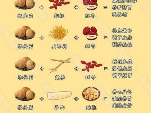 关于诛仙手游猴头菇隐藏任务攻略——猴头菇坐标分享的全面解析