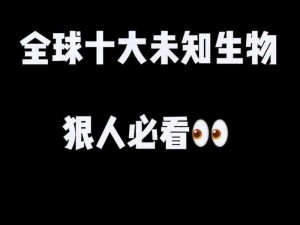 探寻未知：我是谜637避难所谜题解析与答案全览