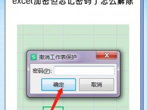 探花密聊 APP——保护隐私的加密聊天工具