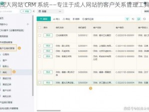 成人网站 CRM 系统——专注于成人网站的客户关系管理工具