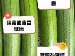 绿巨人忘忧草丝瓜秋葵黄，营养丰富的绿色健康蔬菜