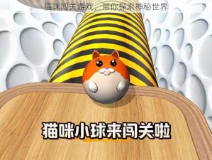 猫咪闯关游戏，带你探索神秘世界