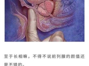 一边 C 一边抽搐一边说爽——让你体验前所未有的极致快感