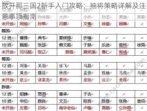 放开那三国2新手入门攻略：抽将策略详解及注意事项指南