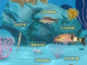 神奇海洋并非单一鳗草世界：揭秘鳗草培育方法及神奇海洋生态多样性探究