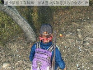 救援小狐狸生存指南：破冰雪中探险寻真途的全方位攻略